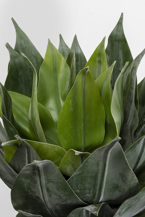 Kare - Deco Plant Agave 120cm