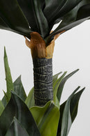 Kare - Deco Plant Agave 120cm