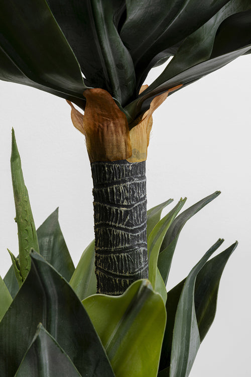 Kare - Deco Plant Agave 120cm
