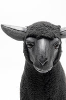 Kare - Deco Figurine Happy Sheep Wool Black 3
