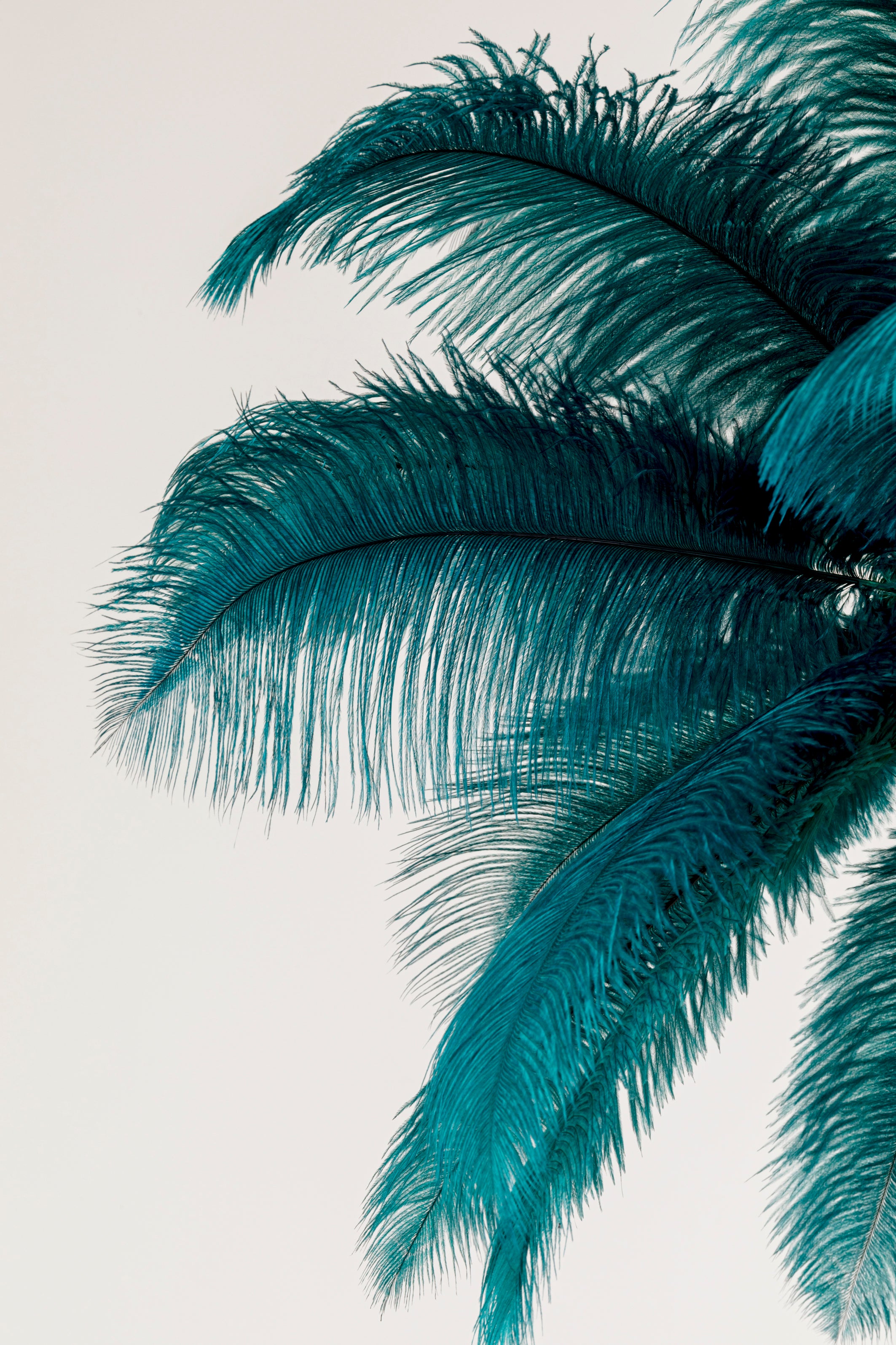 Kare - Pendant Lamp Feather Palm Green Ø87cm