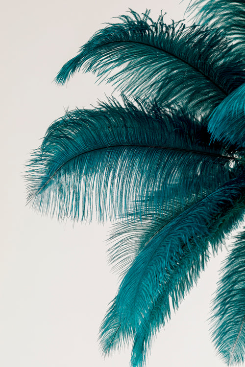 Kare - Pendant Lamp Feather Palm Green Ø87cm