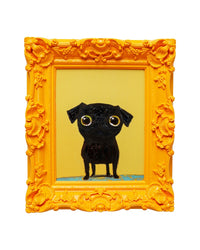 Kare - Framed Picture Sweet Dog Eyes 30x35cm