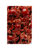 Kare - Vase Crabs 39cm