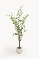 Kare - Deco Plant Plumbago Tree 152cm
