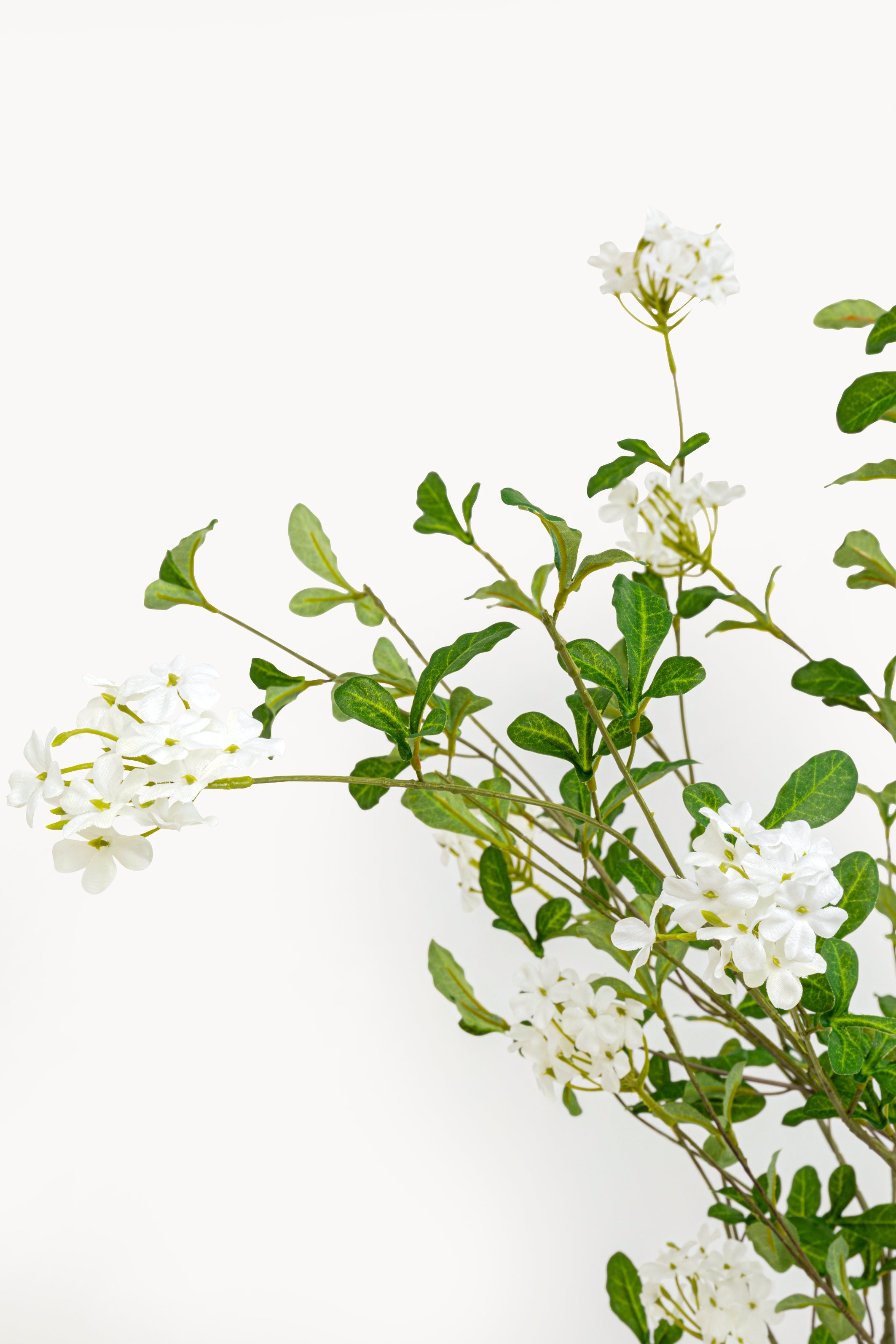 Kare - Deco Plant Plumbago Tree 152cm