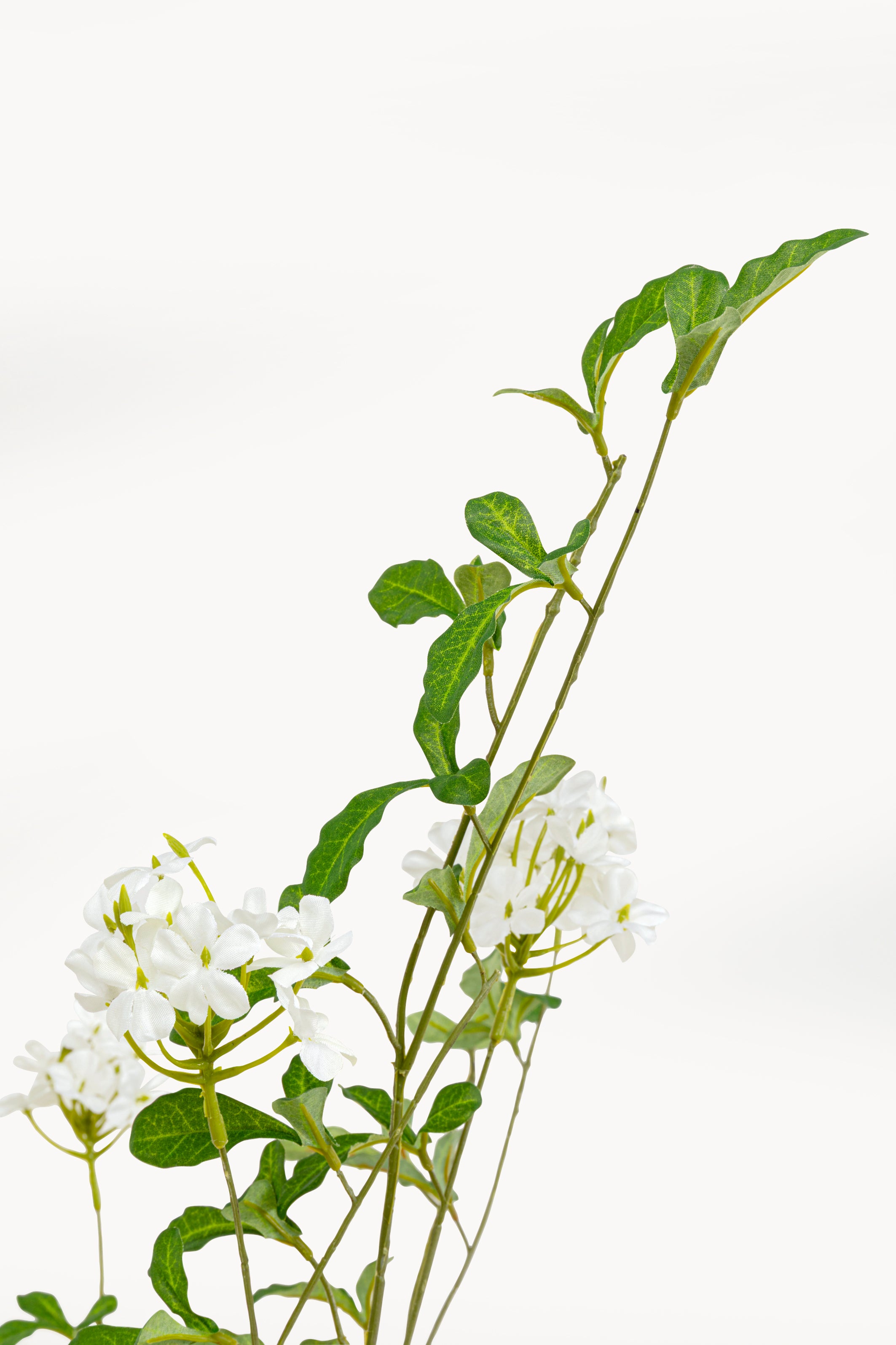 Kare - Deco Plant Plumbago Tree 152cm