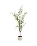 Kare - Deco Plant Plumbago Tree 152cm