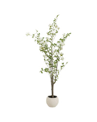 Kare - Deco Plant Plumbago Tree 152cm