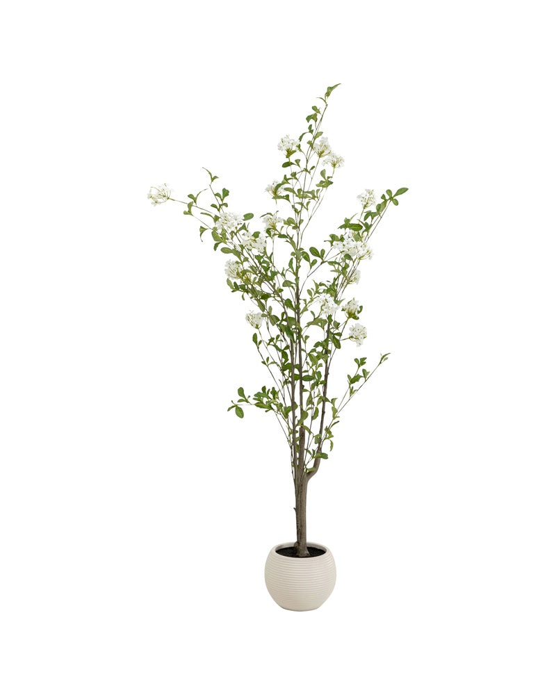 Kare - Deco Plant Plumbago Tree 152cm
