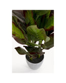 Kare - Deco Plant Canna Lily 115cm