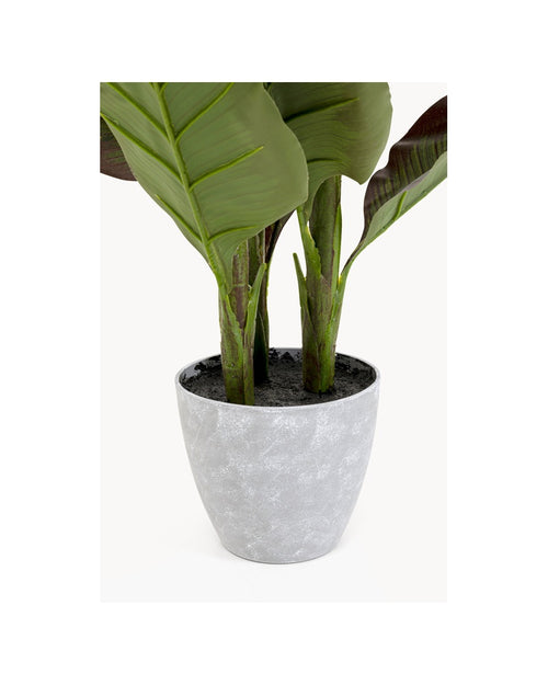 Kare - Deco Plant Canna Lily 115cm