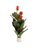Kare - Deco Plant Canna Lily 165cm