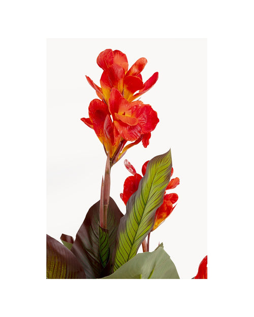 Kare - Deco Plant Canna Lily 165cm