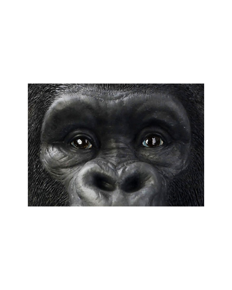 Kare - Deco Figurine Monkey Gorilla Front XXL 107cm