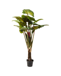 Kare - Deco Plant Rainforest Green 160cm