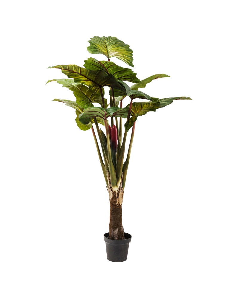 Kare - Deco Plant Rainforest Green 160cm