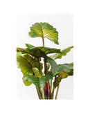 Kare - Deco Plant Rainforest Green 160cm
