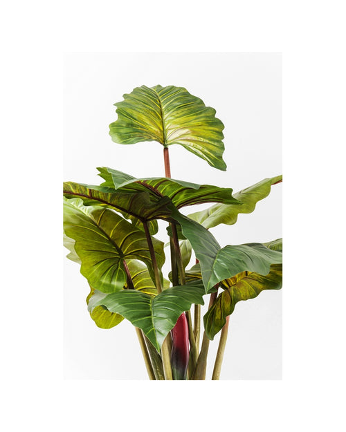 Kare - Deco Plant Rainforest Green 160cm