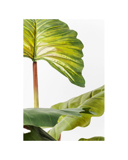 Kare - Deco Plant Rainforest Green 160cm