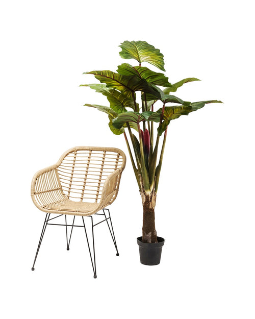 Kare - Deco Plant Rainforest Green 160cm