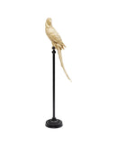Kare - Deco Figurine Parrot Gold 116cm