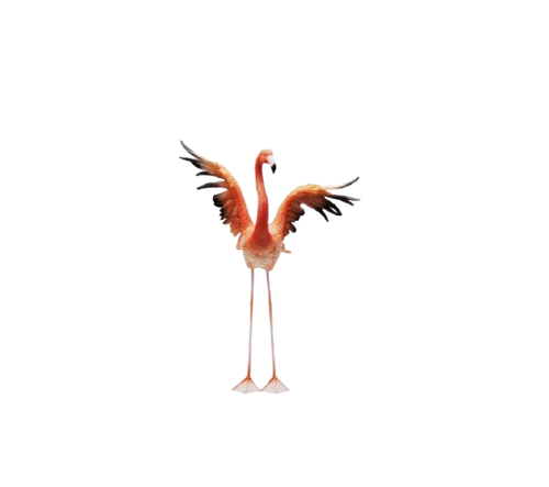 Kare - Deco Figurine Flamingo Road Fly 66cm