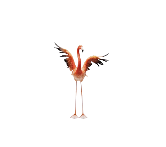 Kare - Deco Figurine Flamingo Road Fly 66cm