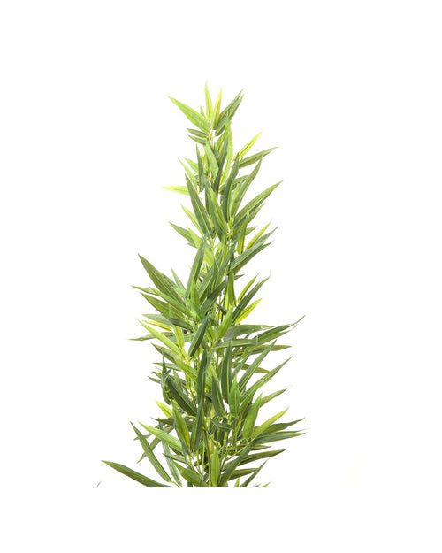 Kare - Deco Plant Bamboo Tree 200cm