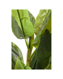 Kare - Deco Plant Banana Tree 180cm