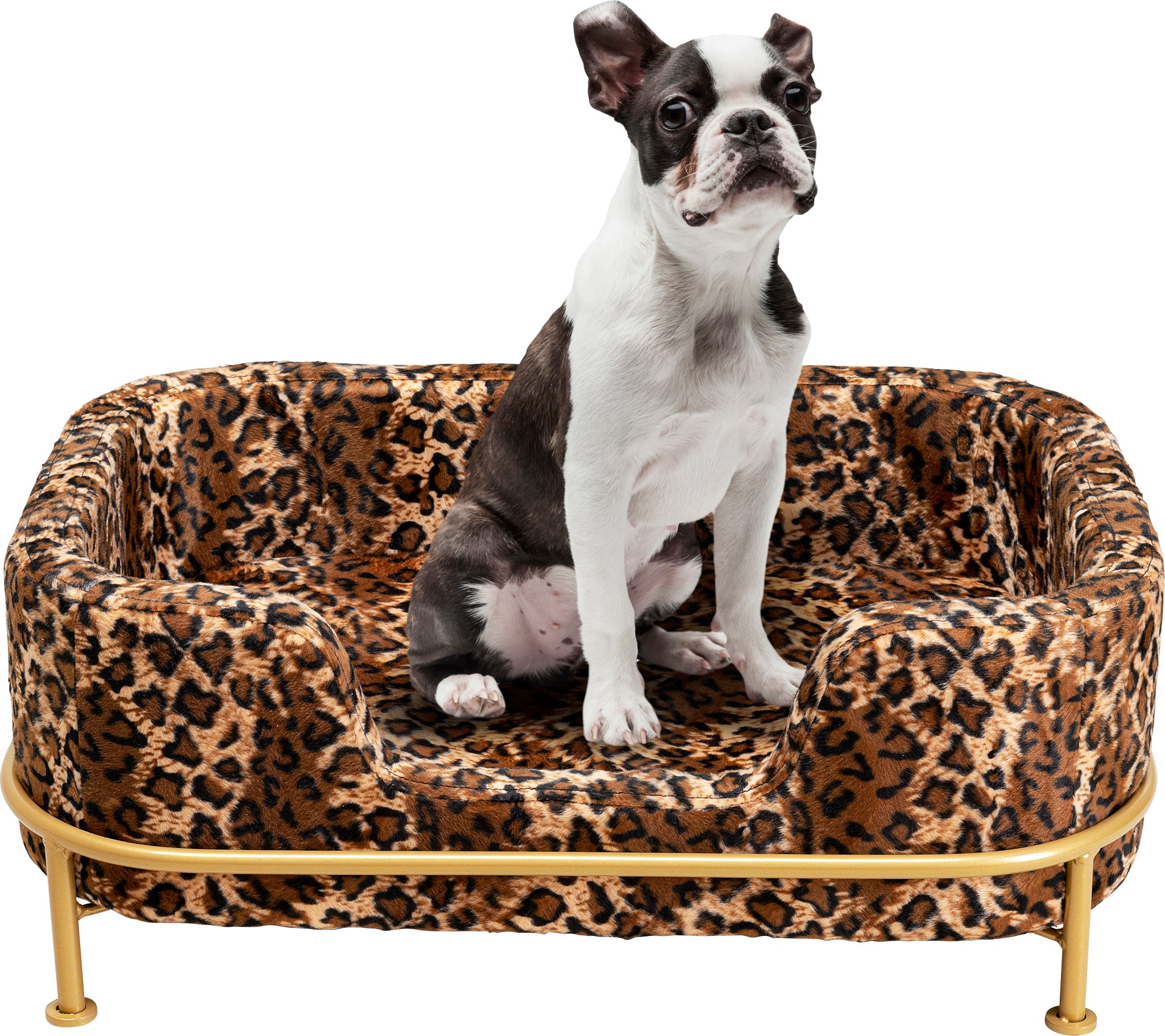Kare - Dog Bed Diva Leo
